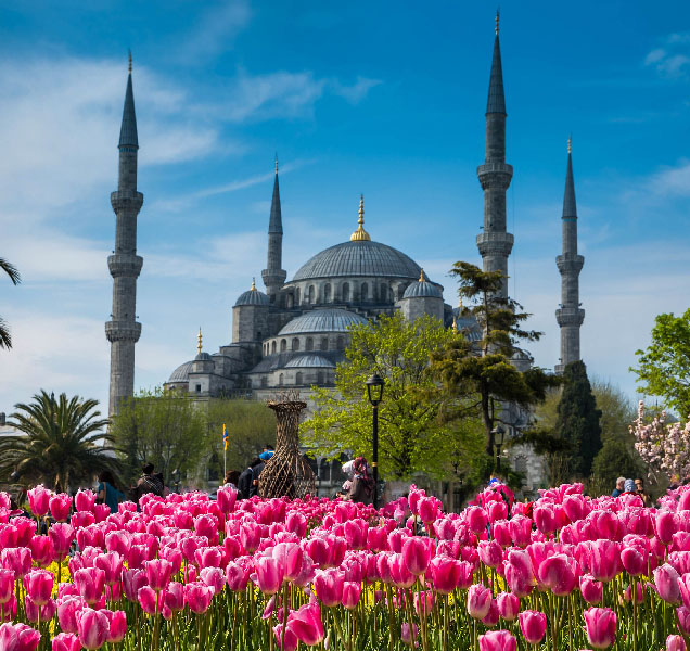 أفضل ما في إسطنبول: جولة إرشادية خاصة ليوم أو يومين أو ثلاثة أيام في إسطنبول